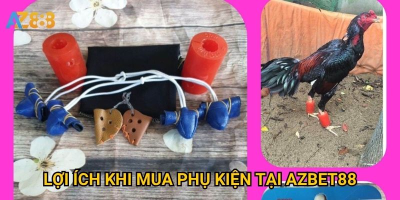 Phụ kiện gà chọi Azbet88 có đủ cho dân chơi chuyên nghiệp? 3 Lợi ích khi mua phụ kiện tại Azbet88