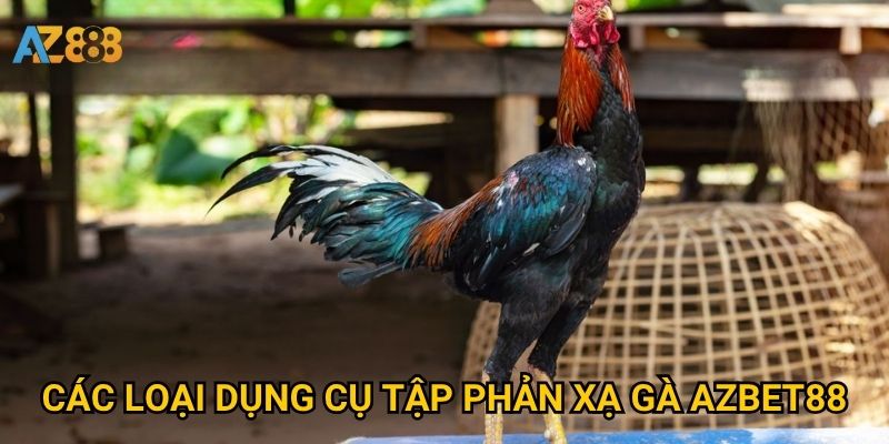 Dụng cụ tập phản xạ gà Azbet88 giúp gà chọi linh hoạt hơn thế nào? 2 Các loại dụng cụ tập phản xạ gà Azbet88