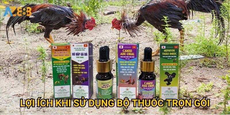 Bộ thuốc gà chọi Azbet88 có đủ để chăm sóc toàn diện? 3 Lợi ích khi sử dụng bộ thuốc trọn gói