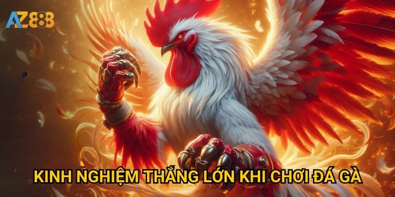 Đá gà Azbet88 có gì nổi bật thu hút người chơi? 2 Kinh nghiệm thắng lớn khi chơi đá gà